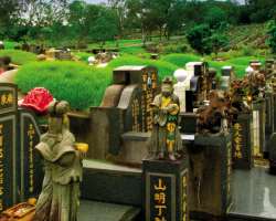 Though the area is full of natural beauty and many more attractions but it is also known for its spooky stories. It is said that the area around Choa 